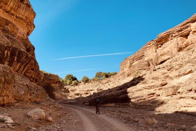 Excursion d'une journée dans les montagnes de Marrakech
